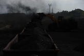 Steam coal, a lot of and chipper, letter of credit