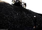 Уголь энергетический каменный много и дешево